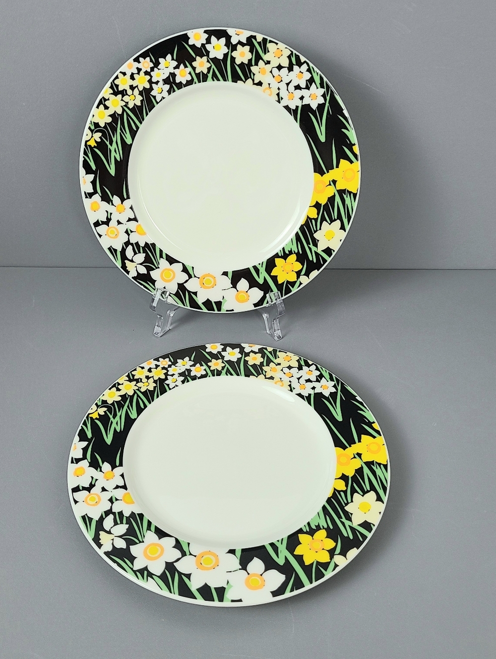 Mikasa Summer Night Joan Luntz Japan Bone China Vintage Plates-Set of Two